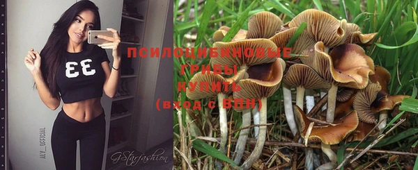 герыч Кинешма