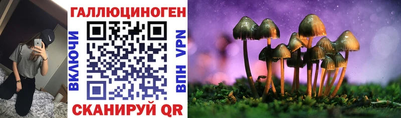 Купить Ржев Галлюциногенные грибы прущие грибы